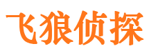 台江侦探调查公司